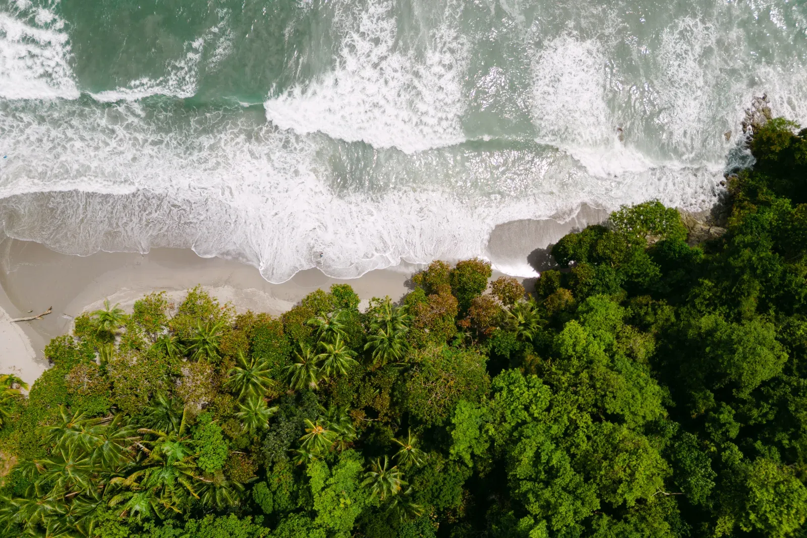Aerial view of surf breaking on a Costa Rican beach, jungle running down to the sand